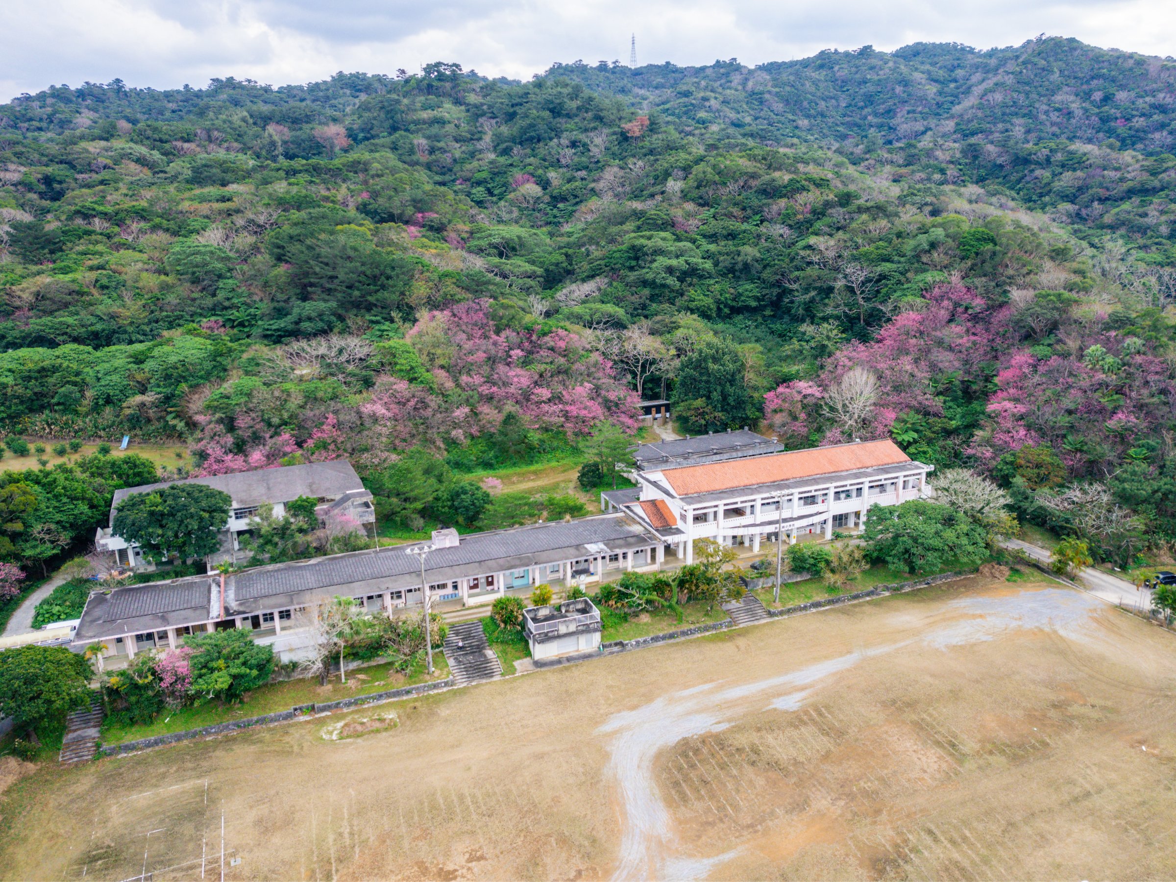 X̊@Âɂ鏬wZmx[VBt͖J̍