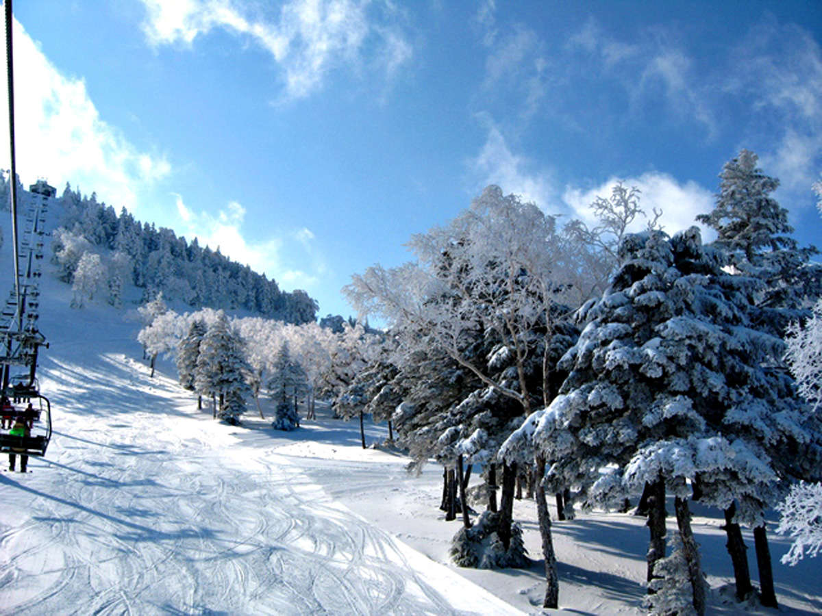 �y�X�L�[�z���R�̃X�L�[�͏t���{�ԁI�����Q�����f�ƐV�΂̃R���g���X�g���y�������􁦉摜�̓C���[�W�ł��B