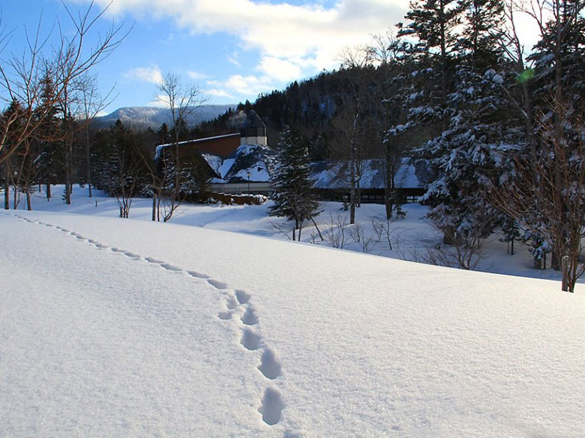 yOρzmm̐XXׂւƑL^Lcl̑Ձ