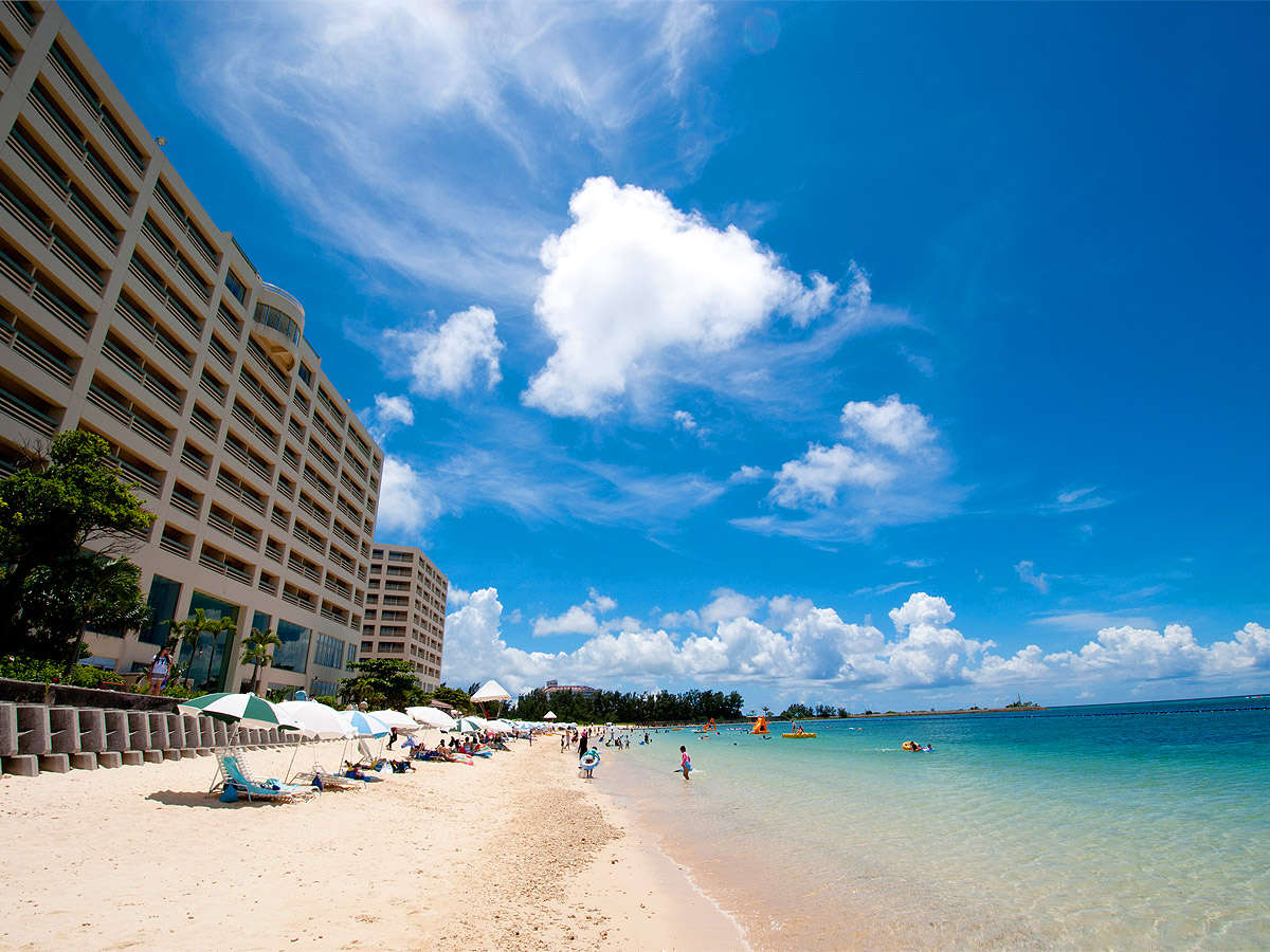 �V�R�̃r�[�`�܂œk��0���I