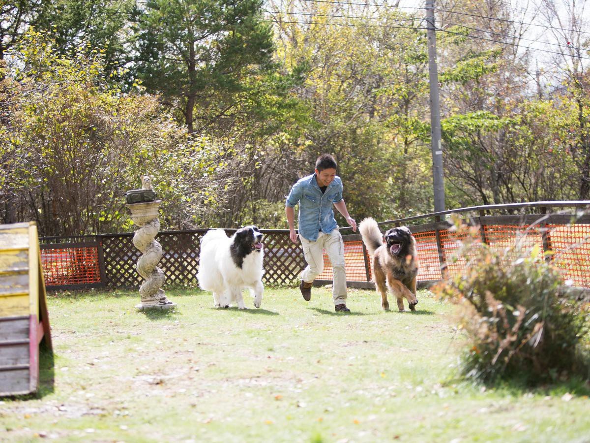 �ydog park�z���p�C���[�W