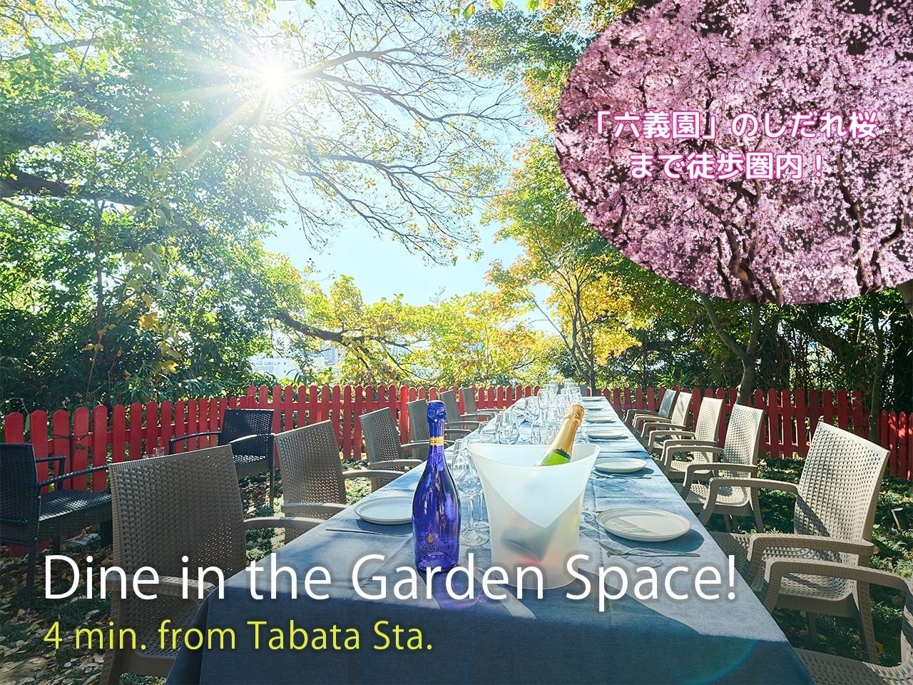 �����s�S�̏㎿�ȏh�B�R����c�[�w4���B�Z�`���⋌�É͒뉀�̍����k�������B 
