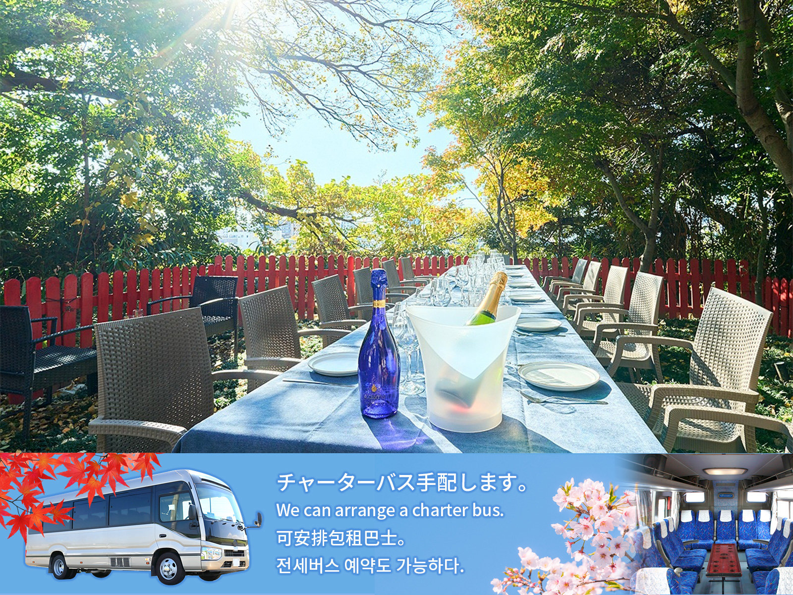 䂩瓌nΖLȒ̂@BcⓌeñ`[^[oXz܂B