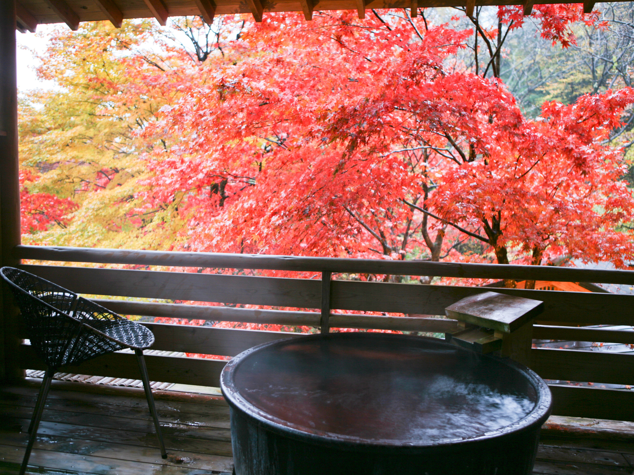 温泉記者によると、ここまで紅葉が楽しめるお風呂は珍しいとの事(貸切風呂)