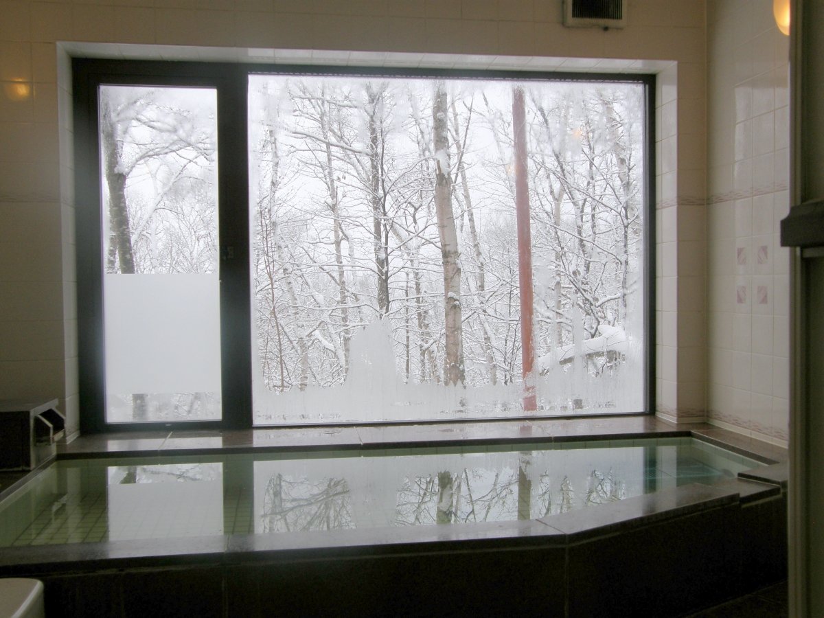 *�嗁�ꂩ����␢�E�̌i�F�𒭂߂��܂��B