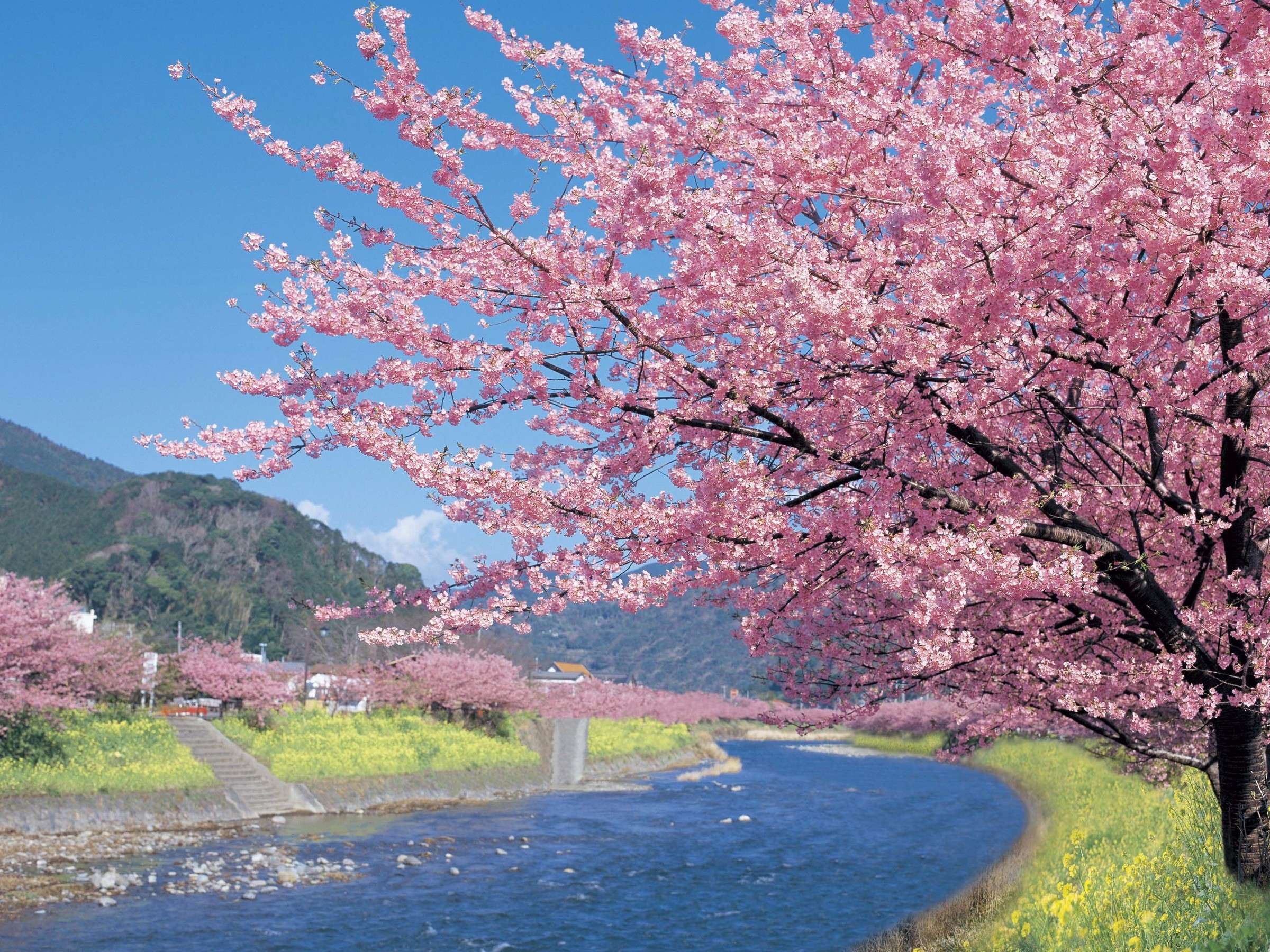 2026�N�̉͒Í��܂�͂Q���V���`�R���W���J�ÁI�I���ق���ԂV���B