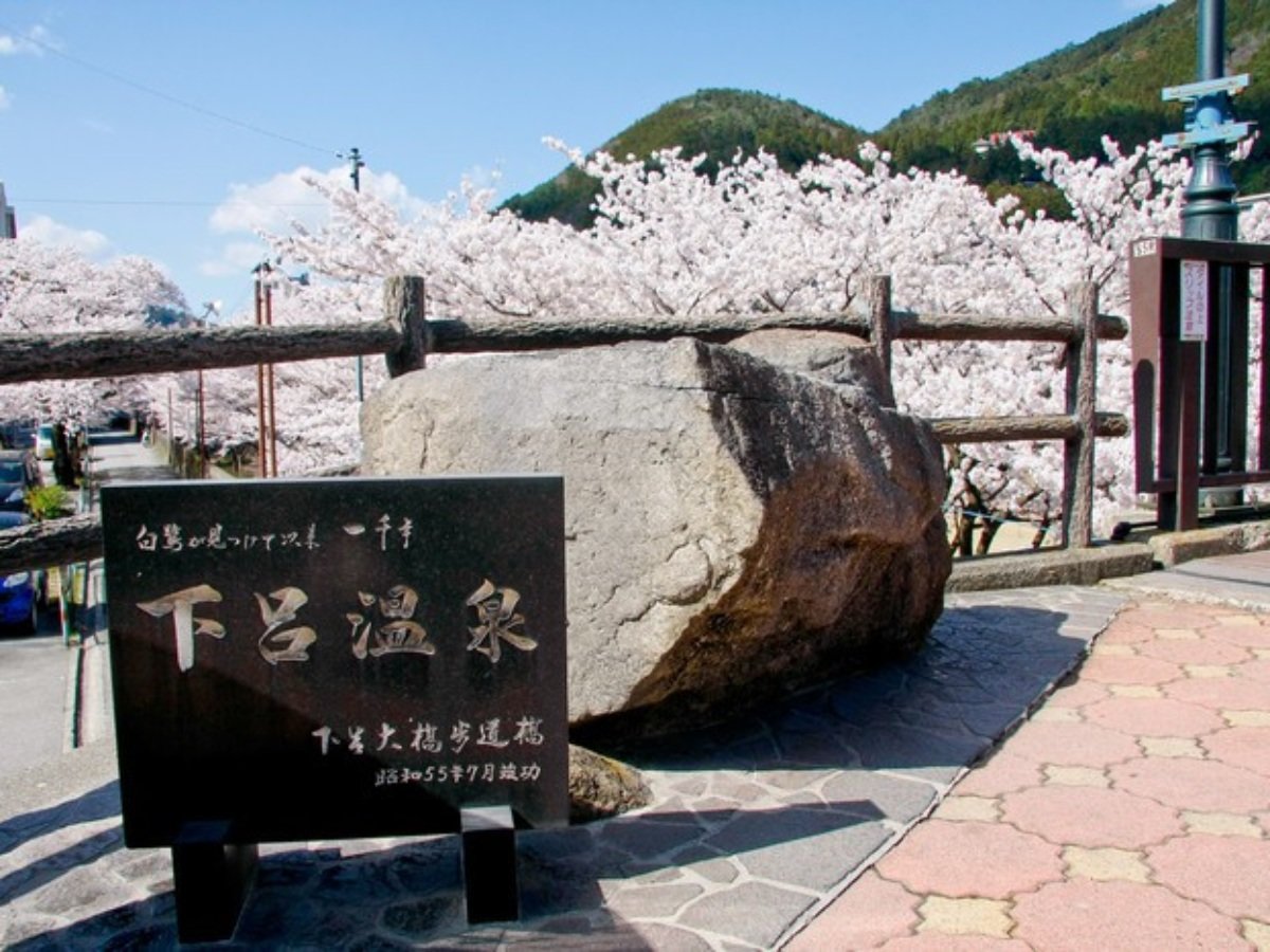 ���C����X�̏t�͍��Ɖ��򂪃x�X�g�}�b�`�I