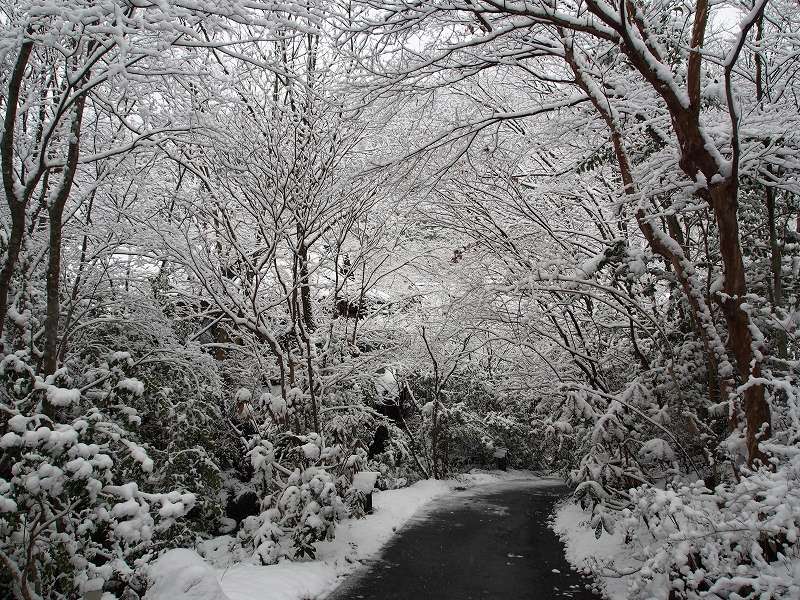 ���ԏꂩ��̃A�v���[�`