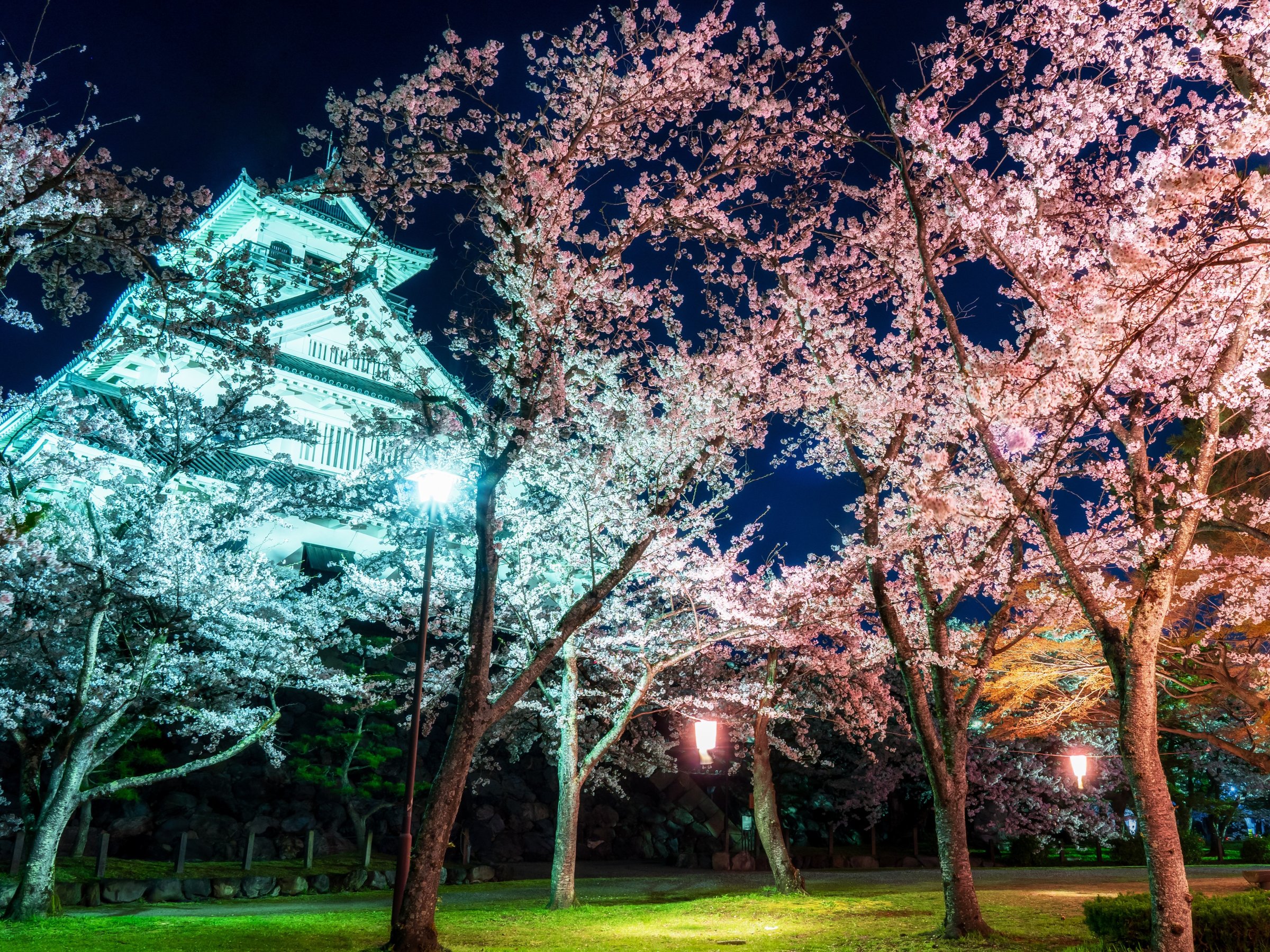 ���l�郉�C�g�A�b�v���