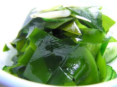 �k�O���̍r�g�炿�̃��J���͂��̏�Ȃ��g�����h�I�����ƃ��J���ɑ΂���T�O���ς��I�H