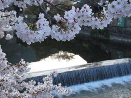 �����i����