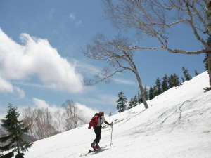 ���R���y���݂Ȃ����R���U��