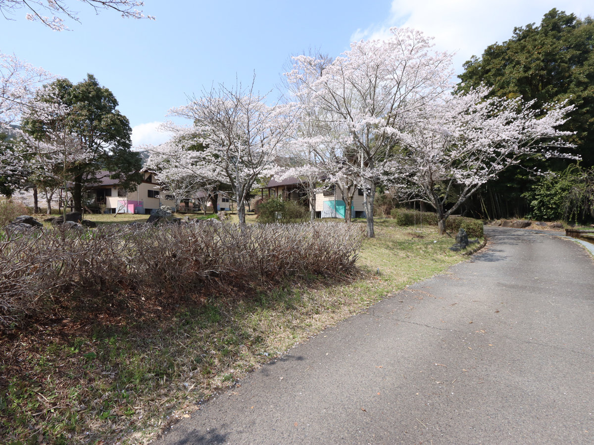 �t�ɂ͍����炫�ւ�܂�