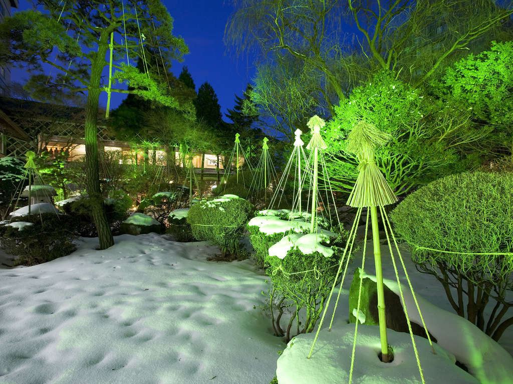 CgAbvŐiFLLƏƂ炵܂