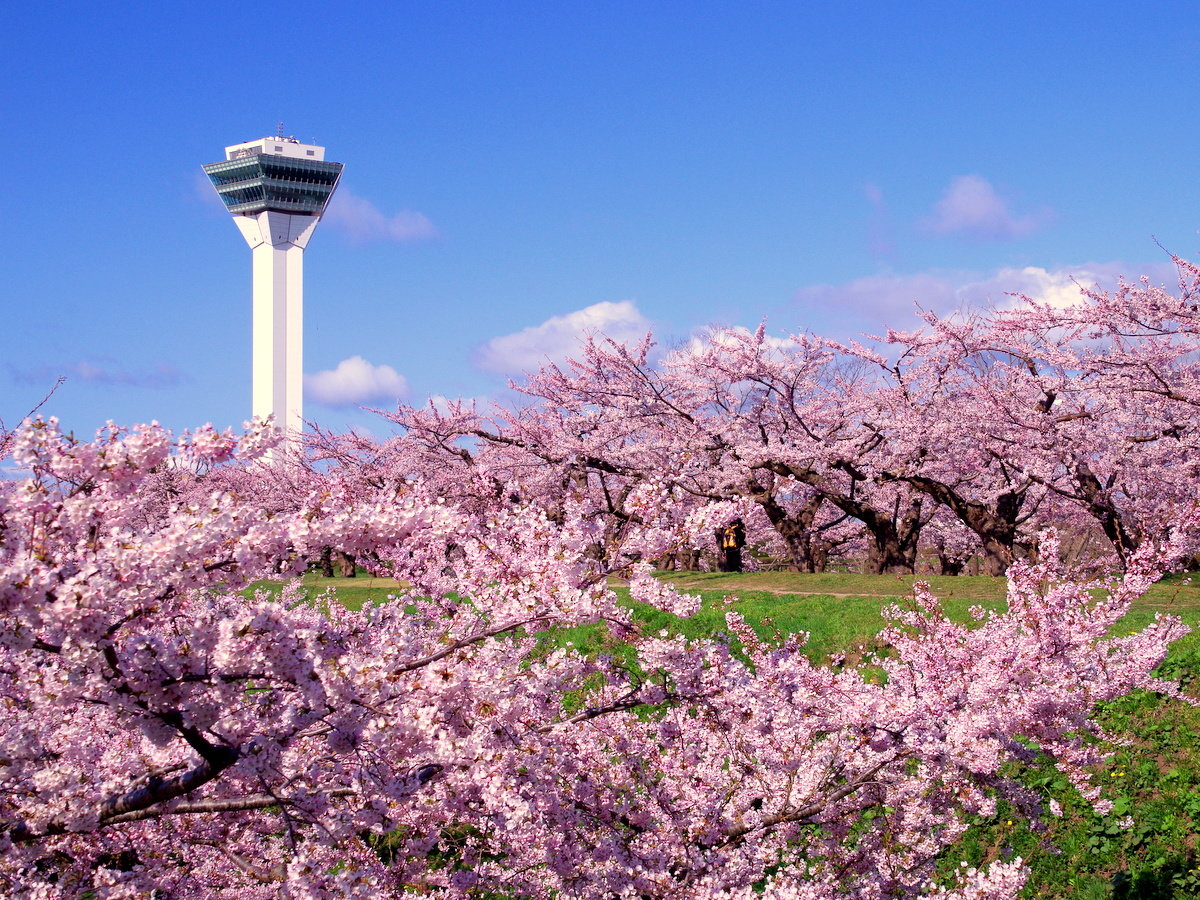 �ܗŊs�����u���v