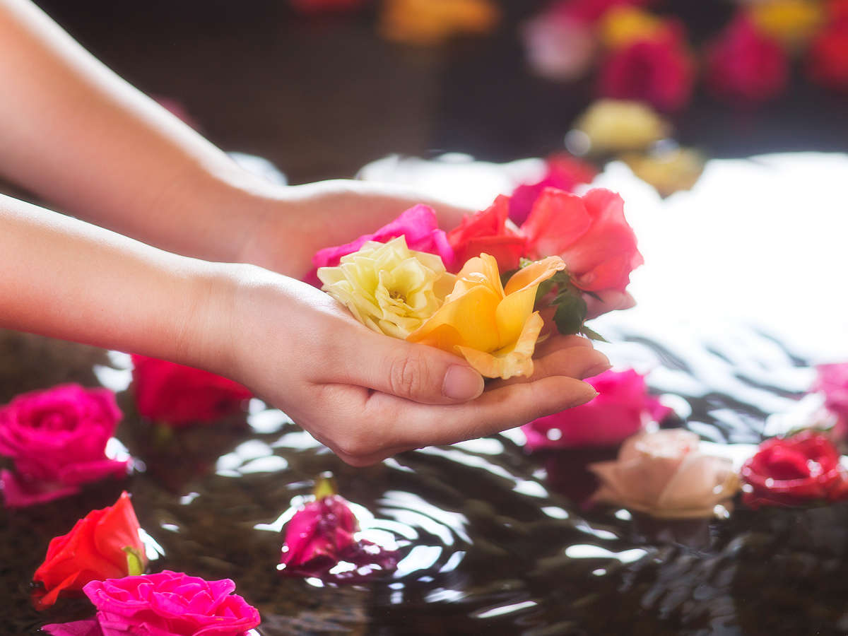 yoCî݁jzق̂ȍ肪YoC͏݂Ȃ̓