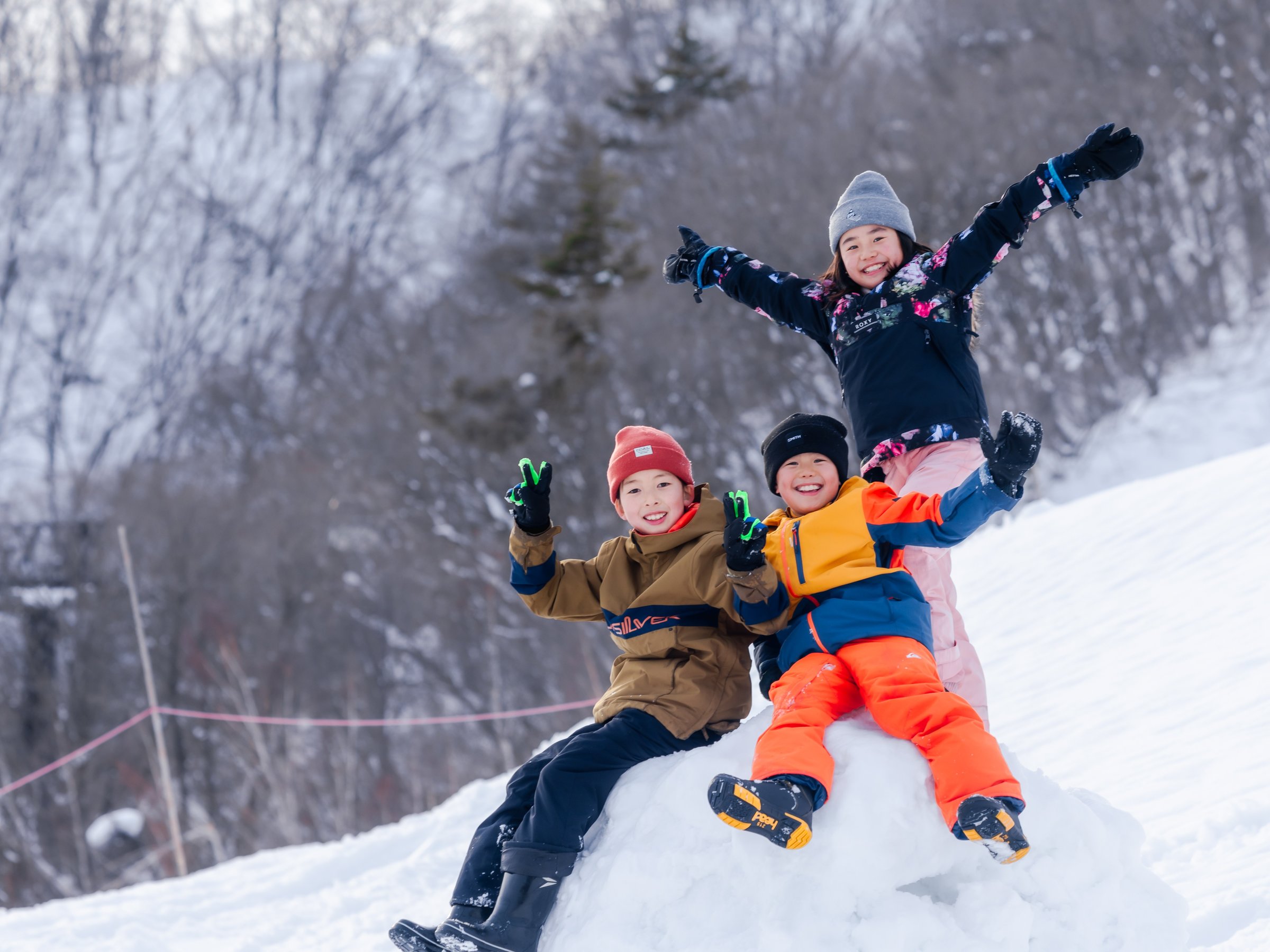 ���h���җl�����^���������T�ł����ɃE�B���^�[�X�|�[�c�����y���݂��������܂���