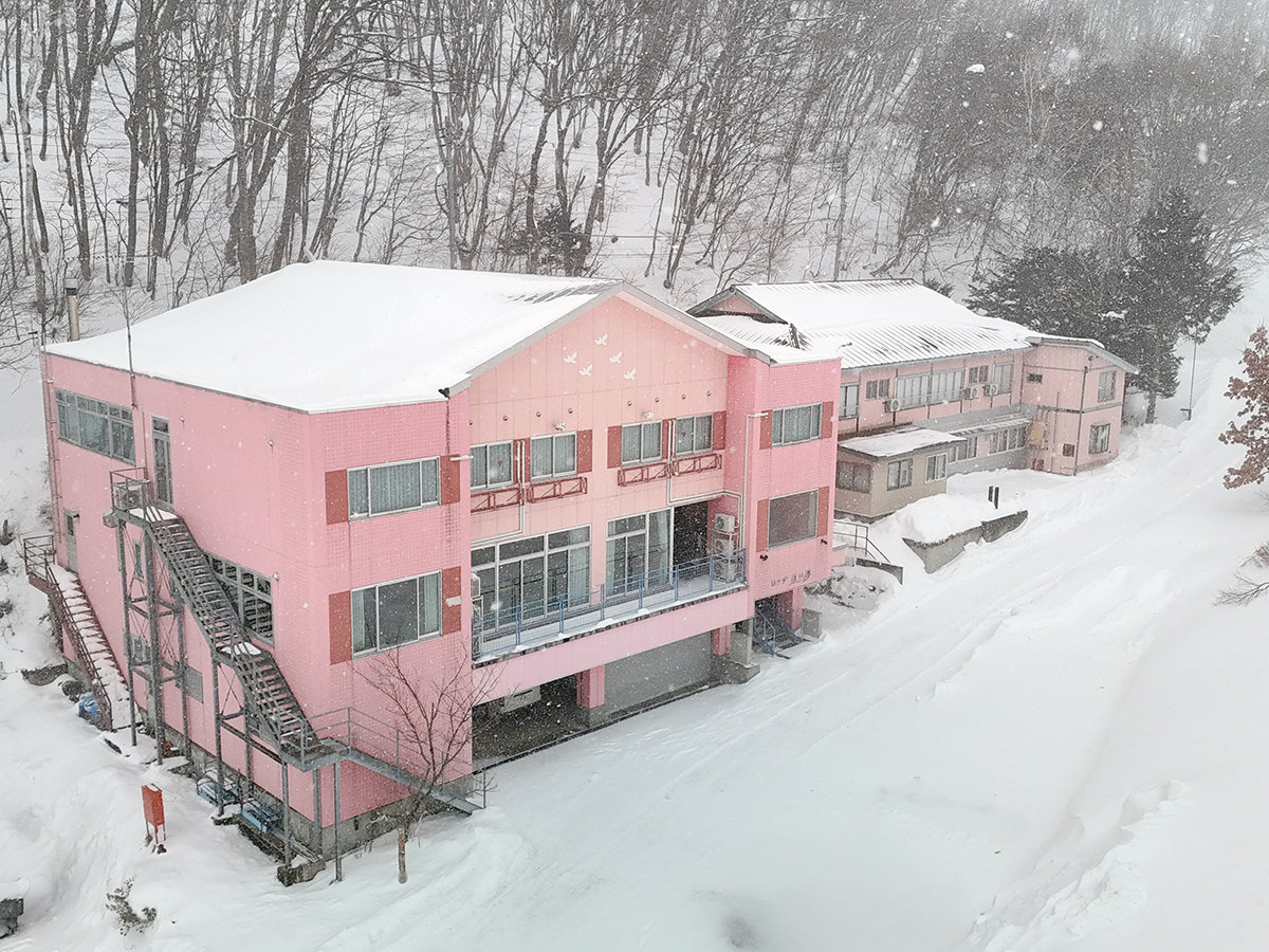 �^�����Ȑ�ɁA���ق̃s���N�F���f���܂���