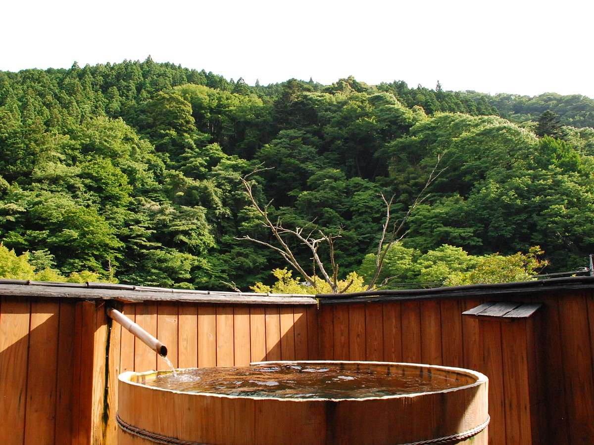 ���V�΂̔������ݐؘI�V���C�y��M�̓��z��͖��V�̐������ꂢ�ł�(�����j