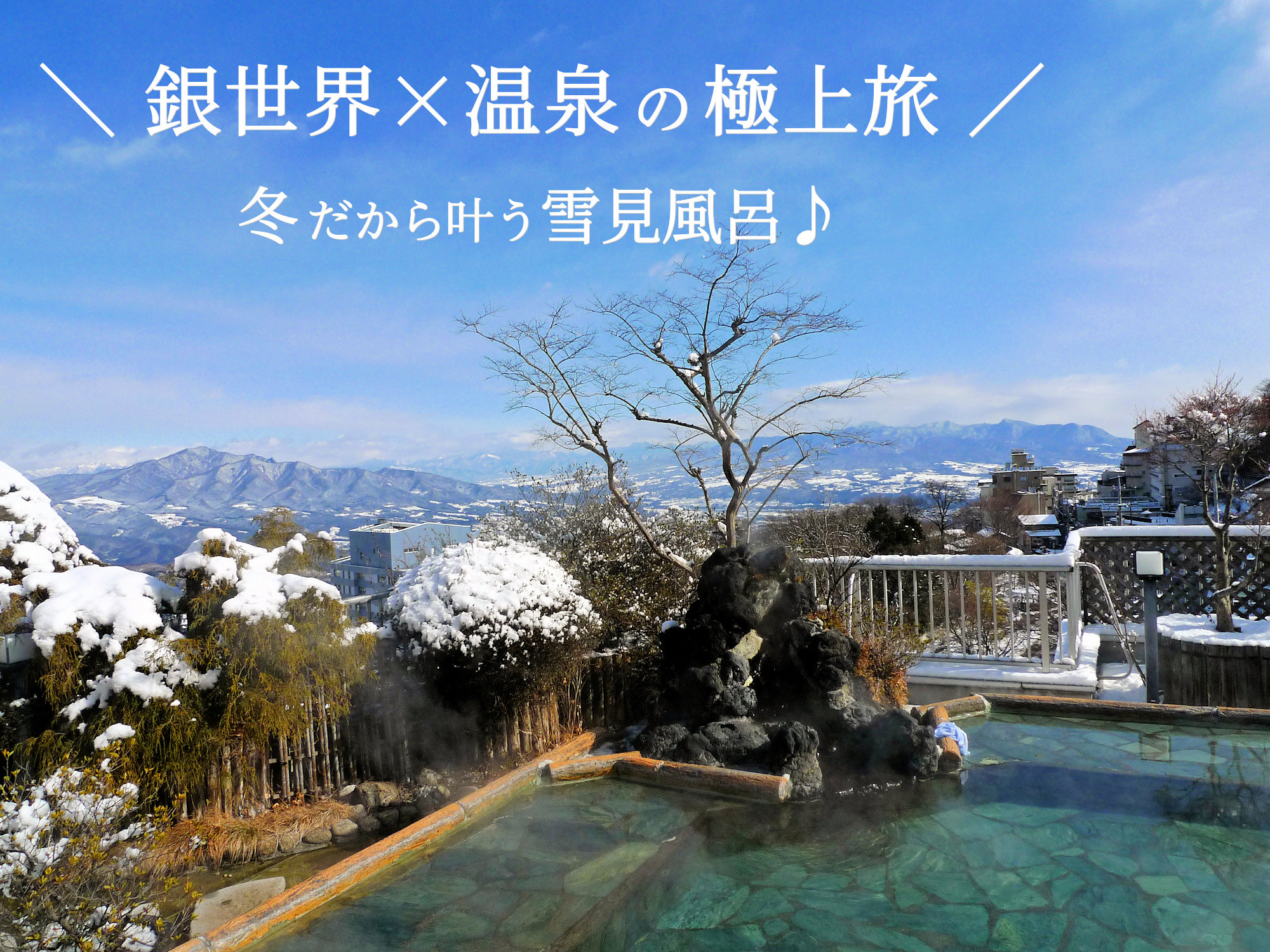 �������C���~�̉���I�V���C�u�Q���v