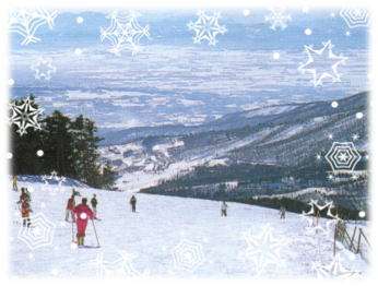 �l�R�}�@�}�E���e���@�S�R�R�R�[�X