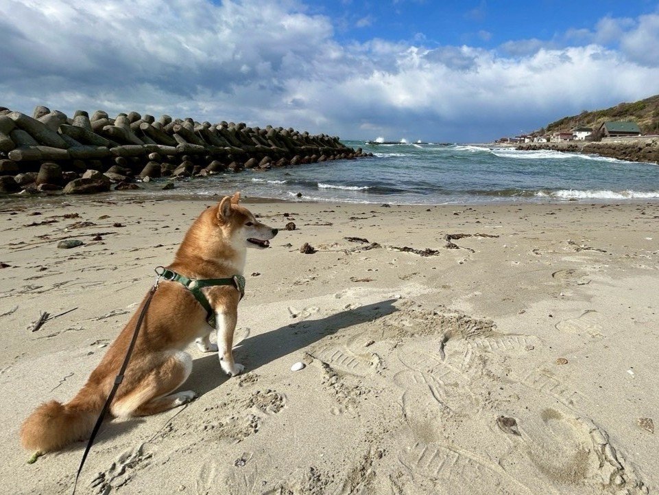 �����O�̍��l���������Ƃ��U����