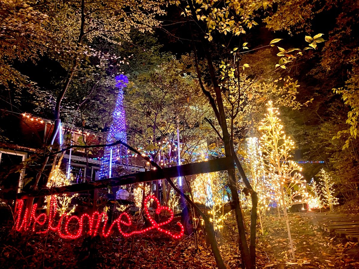 *T^̐XNX}XC~l[Vi2025/11/01`2026/01/03܂Ŏ{j