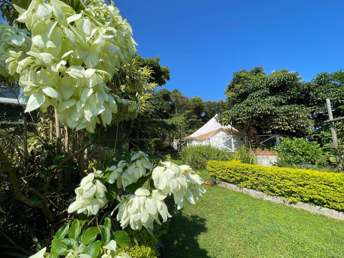 �E�v���C�x�[�g�K�[�f��