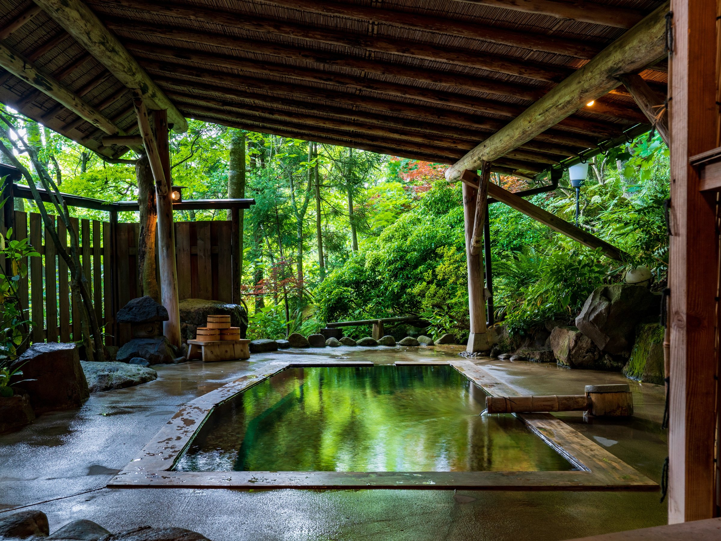 �ݐؒ뉀�I�V���C�u�ꗢ�̓��v