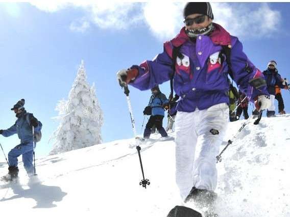 �~�̔�������Ƃ��y���ނȂ�X�m�[�V���[���I�X�X���I���i���邱�Ƃ��ł��Ȃ��A�i�F���L�����Ă��܂��B