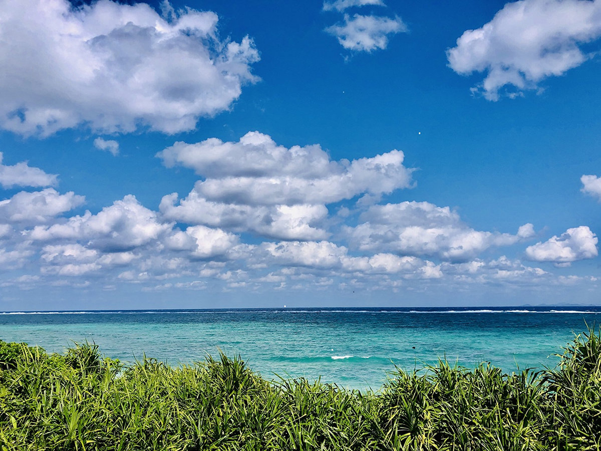 �E�y�e���X�z�ґ�Ȓ��߂�Ƃ��߁I�������̃e���X����͍L��Ȑ��C����]���邱�Ƃ��ł��܂�