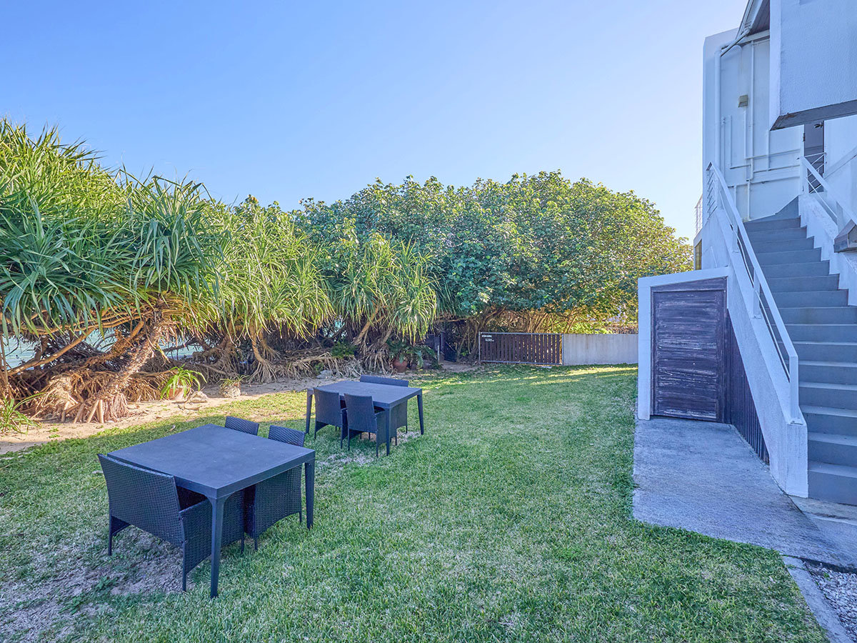 �E�y�e���X�z�؁X�z���ɊC�̉�����������e���X�Ŏ��R�ɗn�����ނЂƎ������߂�����������