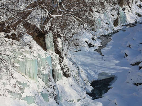 �y�~�̋ѐ勬�z