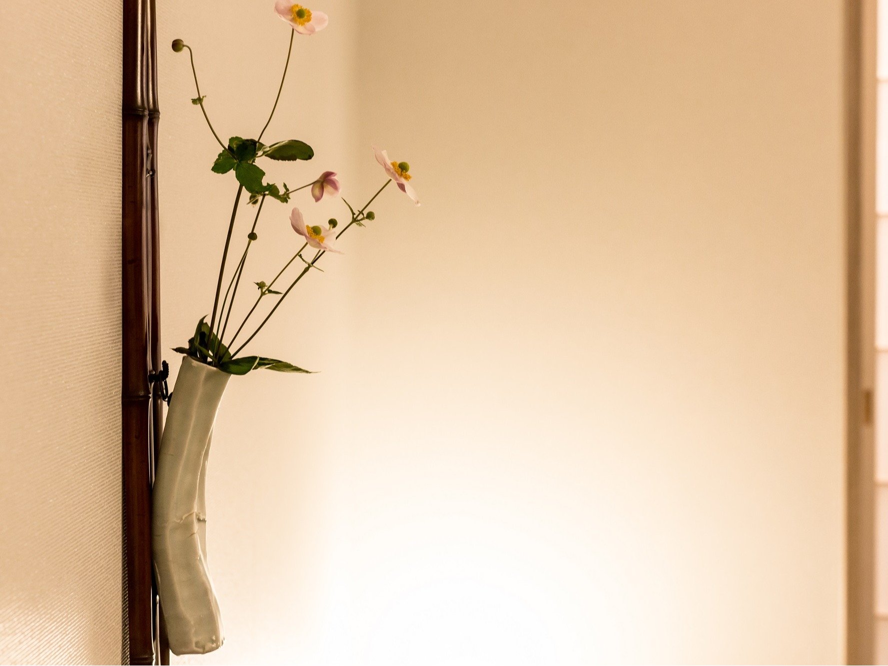 �����@��ւ̉Ԃ��f���A�����Ɖ��O�̂͂��܂̔�