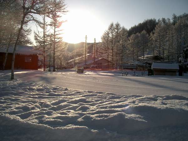 ����Ԃ̐^�����ȃX�m�[���[���h