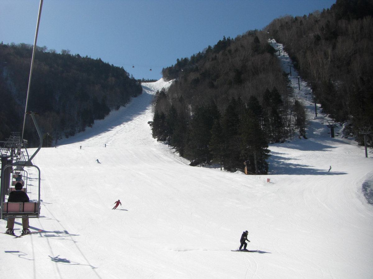 #�ۏ������X�L�[��܂ŎԂ�5���I�E�C���^�[�X�|�[�c�D���ɃI�X�X����