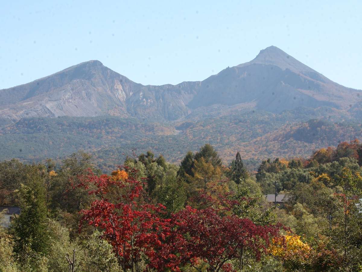 ́A֒R߂܂BgtV[Yi10j͓ɂ߂łB