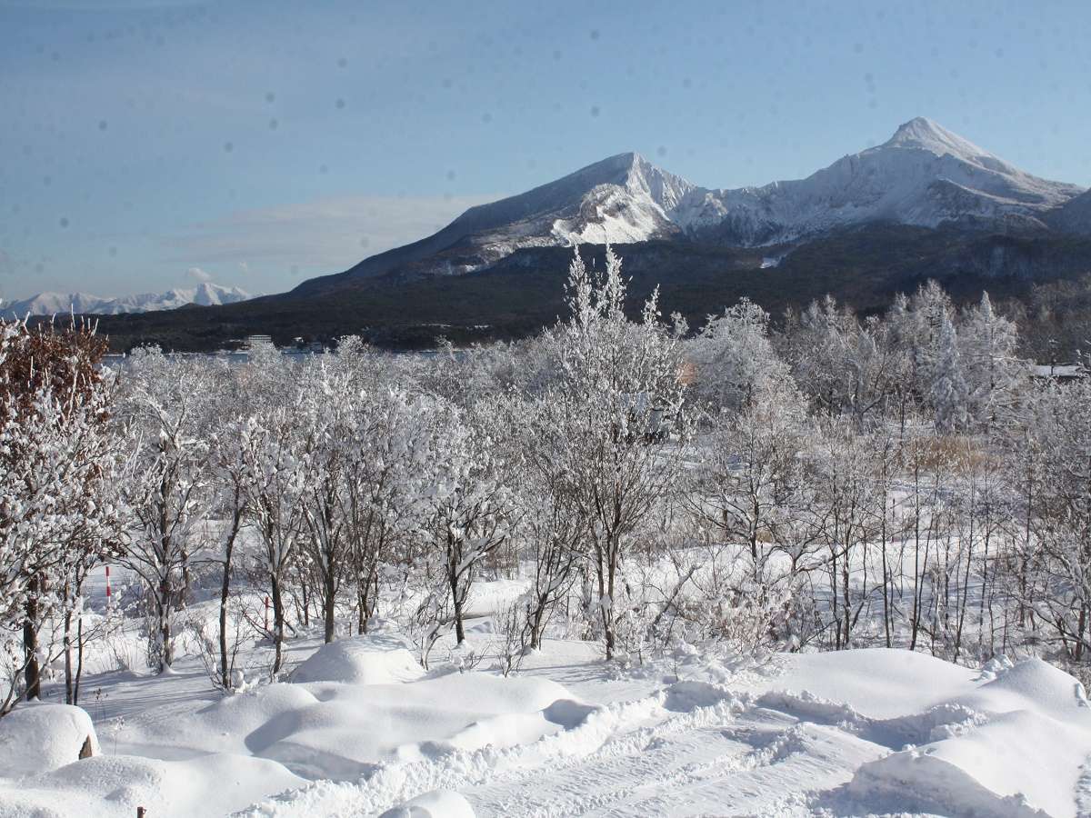 �p�m���}�̃_�C�j���O����A�֒�R�𒭂߂��܂��B