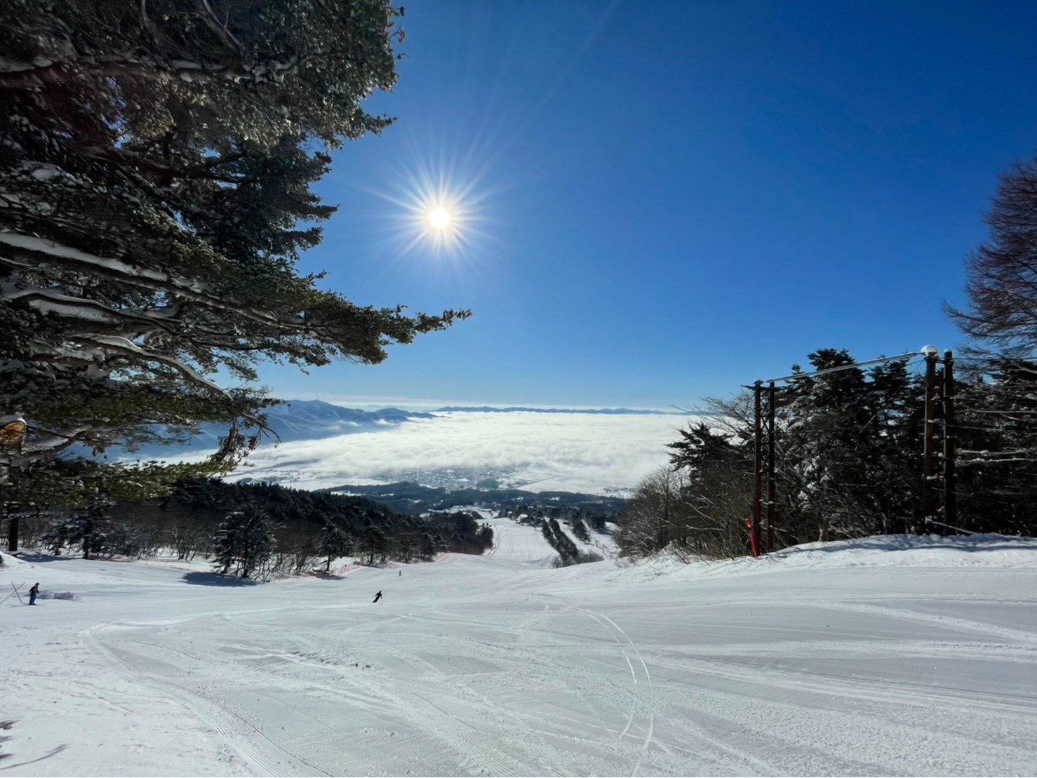 �X�L�[��B�������̐Ꮏ�͂����߂ł��B