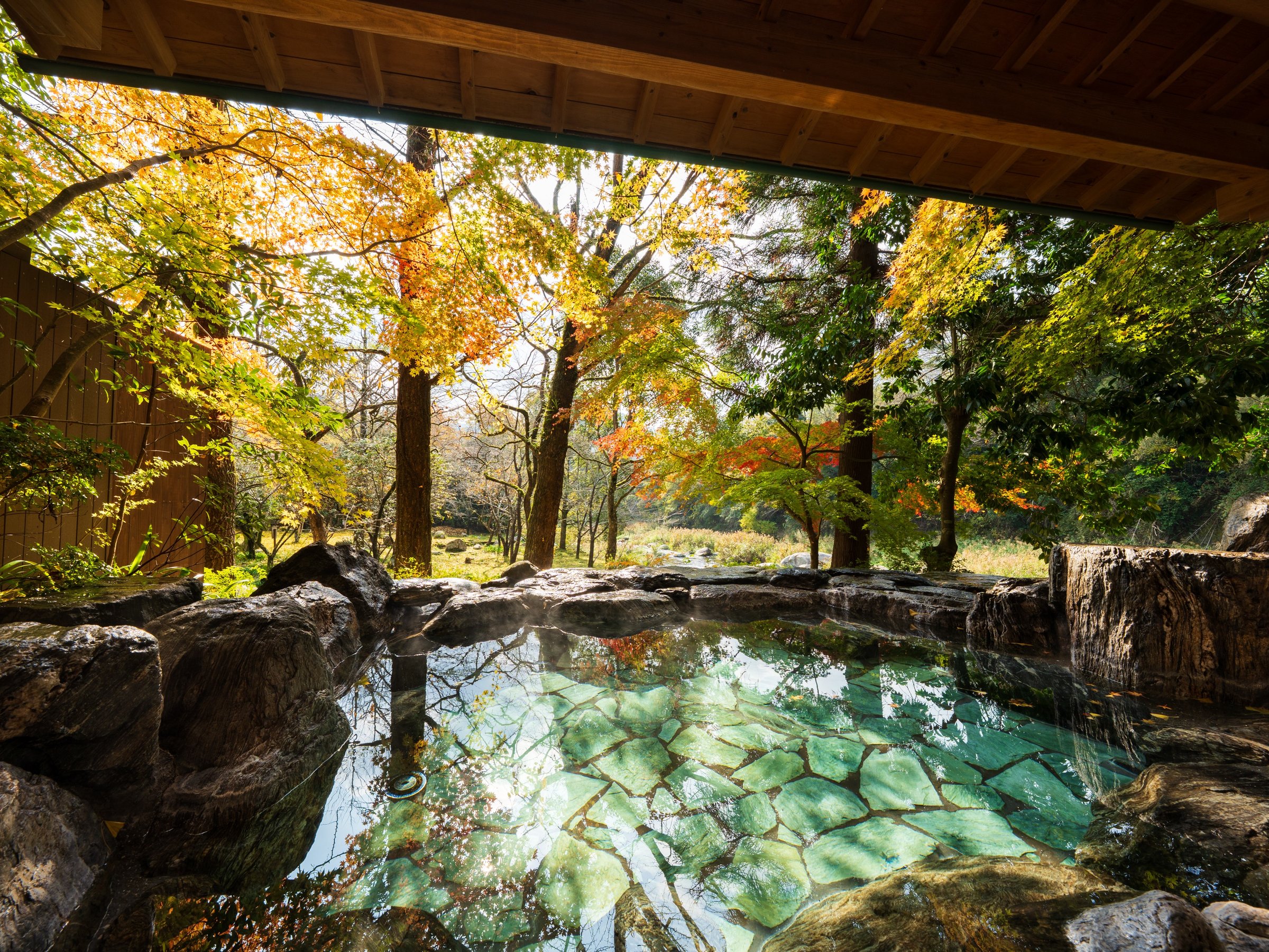 11�����{����12����{�ɂ����āA�嗁��̘I�V���C����͍g�t��������ł��B���ʐ^�͏����I�V���C