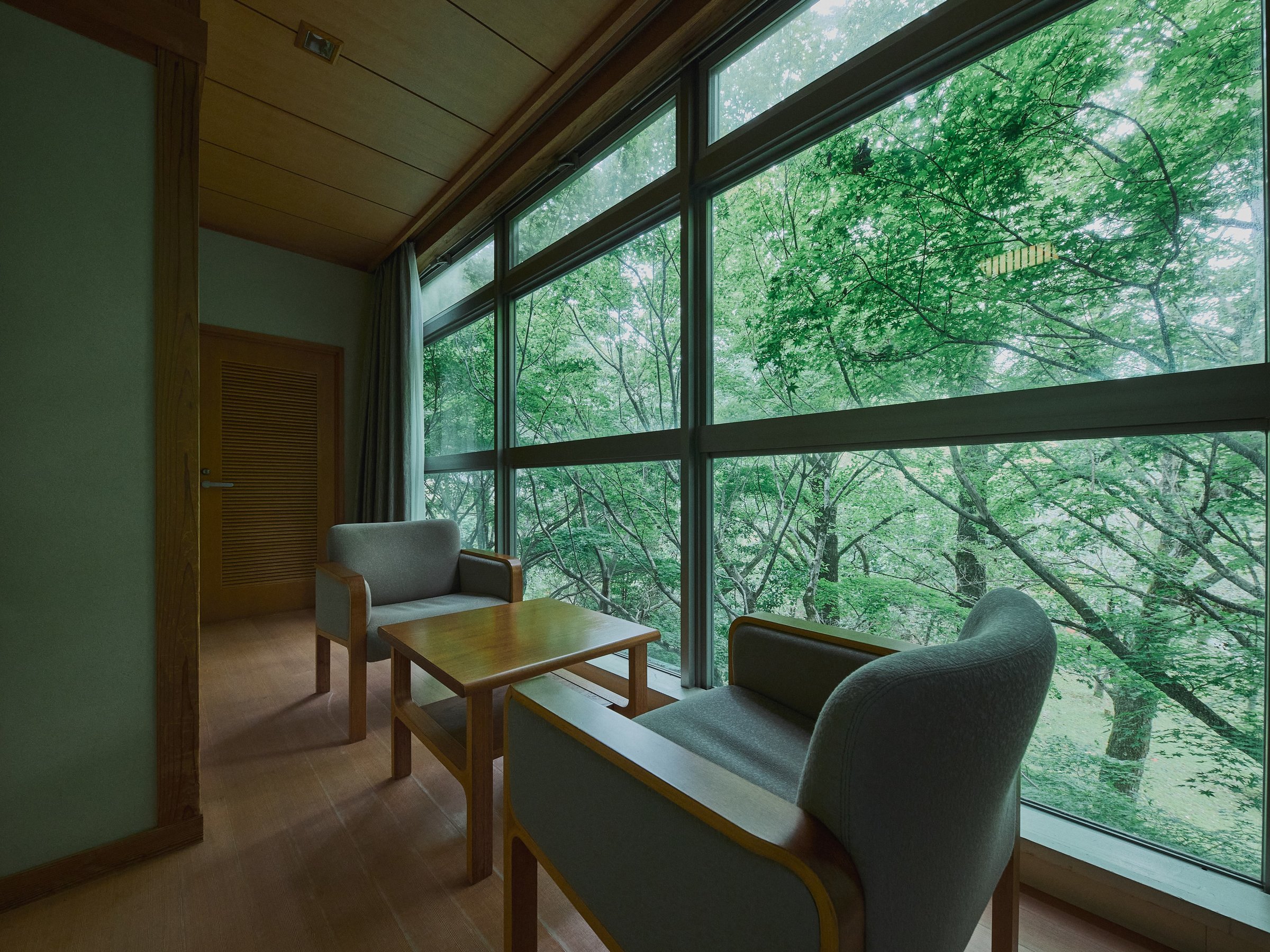 ���R�̒��ɂ������ލ��ꕗ�낾���炱���̌i�F�ł��B