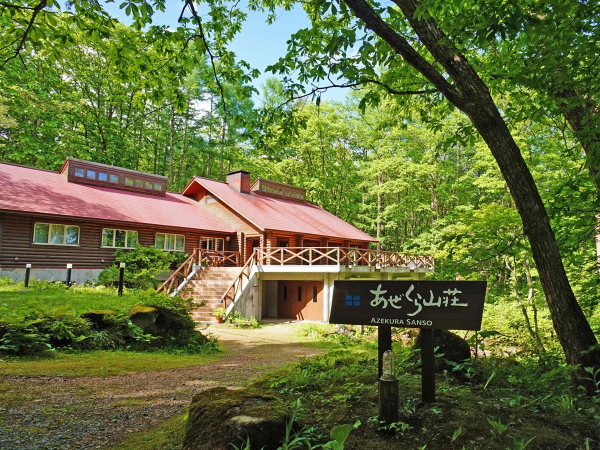 �X�̒��̃��O�L���r���B�L���x�����_�ŐH�������邱�Ƃ��ł��܂��B��ɂ͎l�G�܁X�ɎR�쑐���炫�܂��B