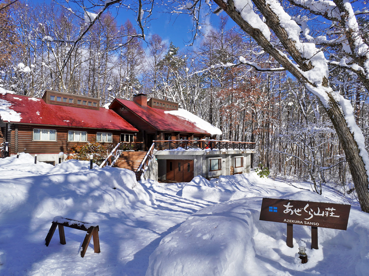 �X�̒��̃��O�L���r���B