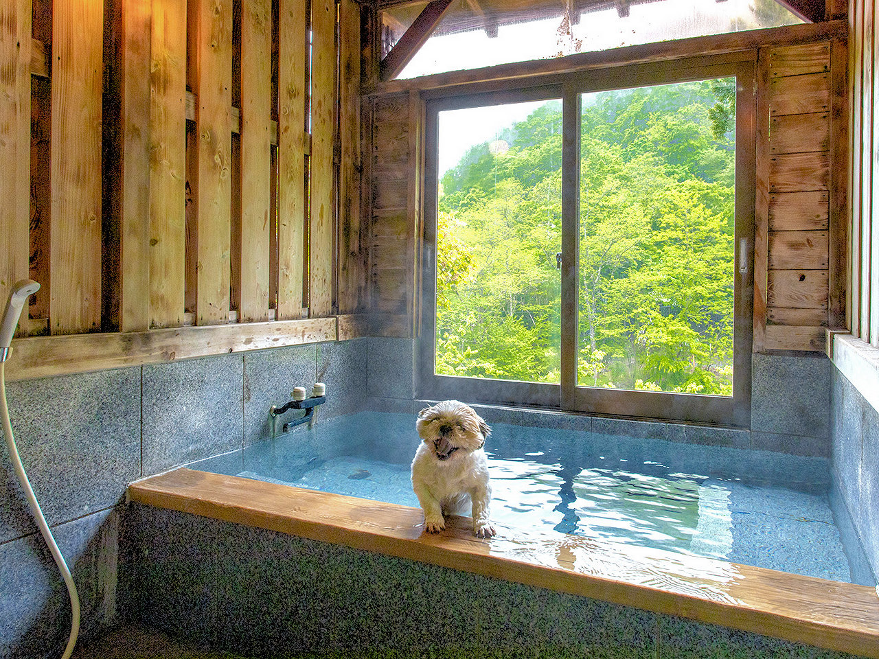 �������������������ƈꏏ�ɉ���Ń����b�N�X�􁄓��ʎ��^10���a���{�x�b�h���[���^���򂩂��������C����