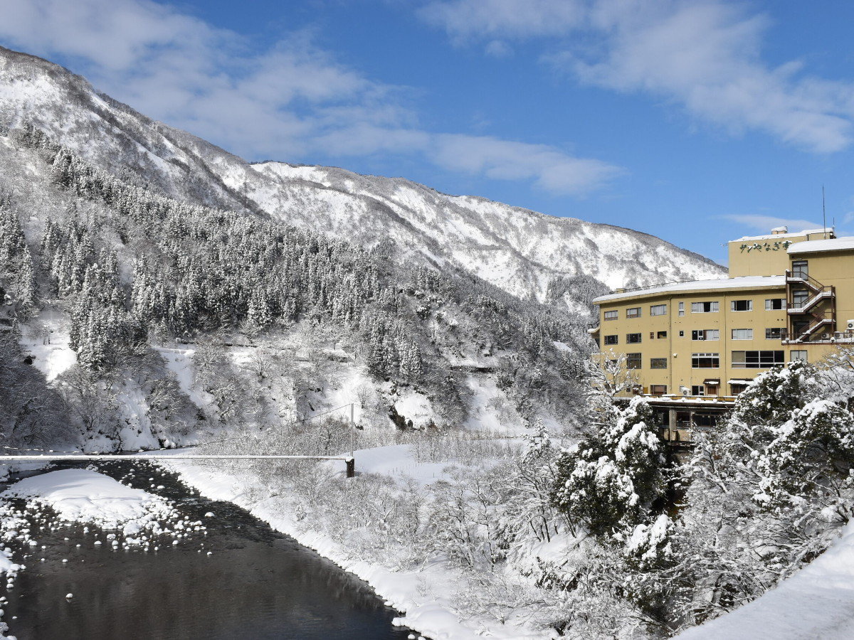 �T�������̓~�i�F