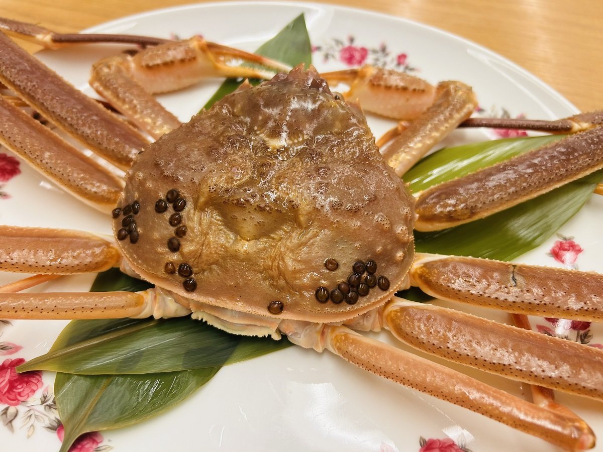 �x�R�p�̉��l�E�{�Y���C�I