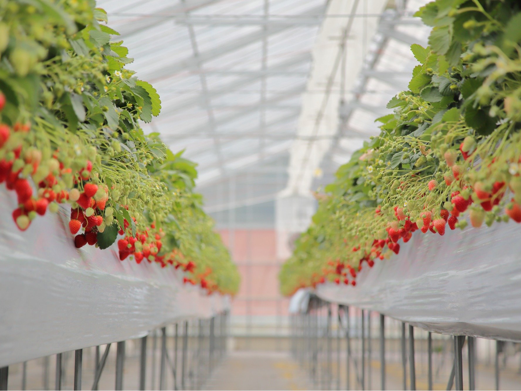 �����݂�̂�������