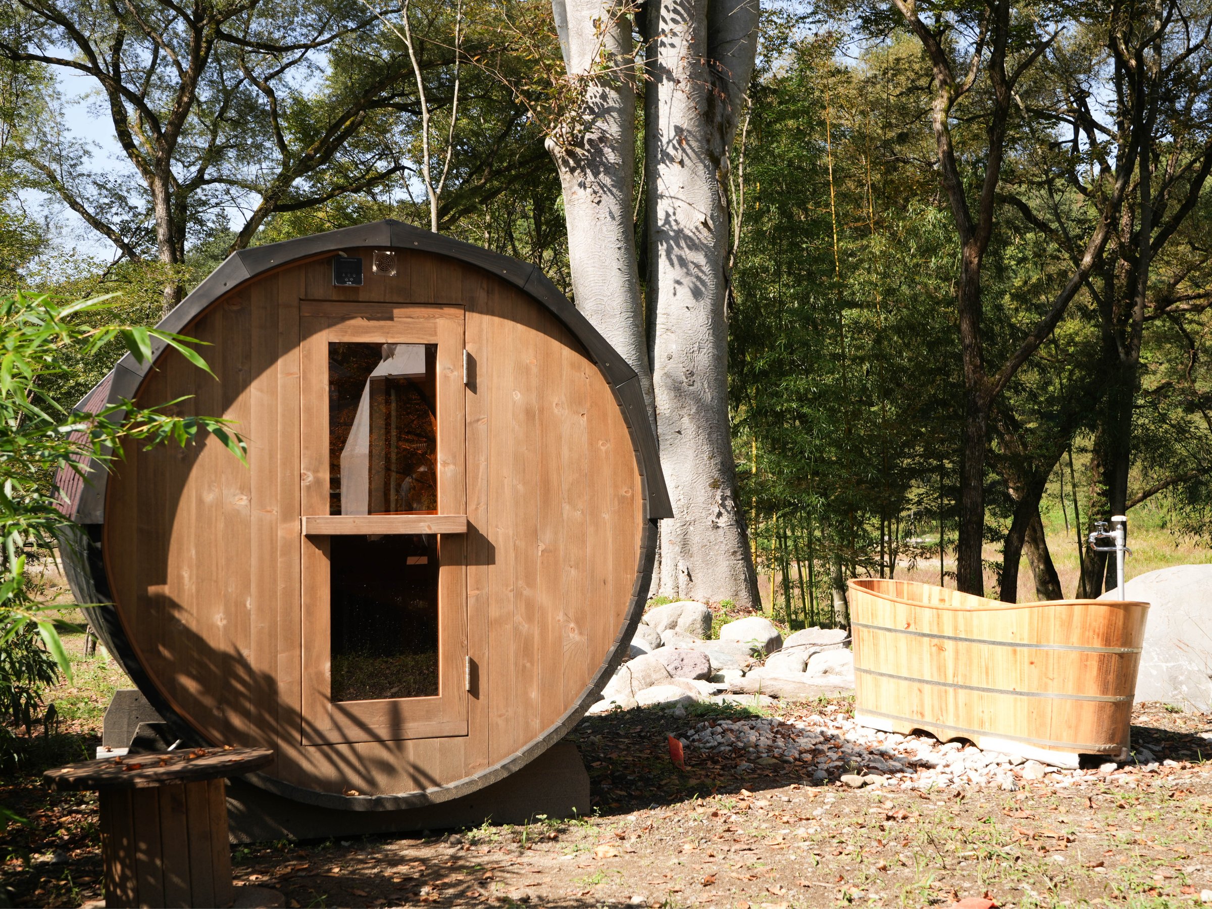 �o�����T�E�i