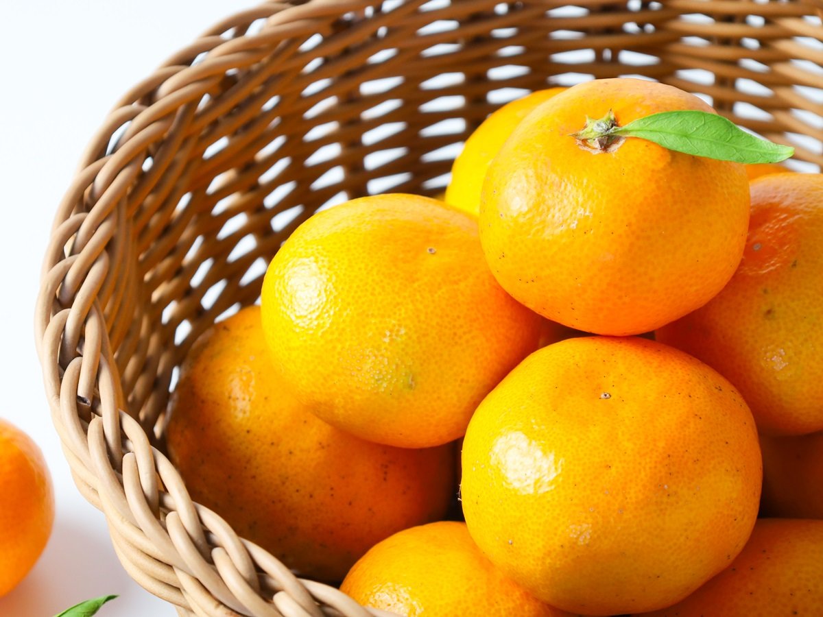 �v���������͌������݂̂���i�C���[�W�j