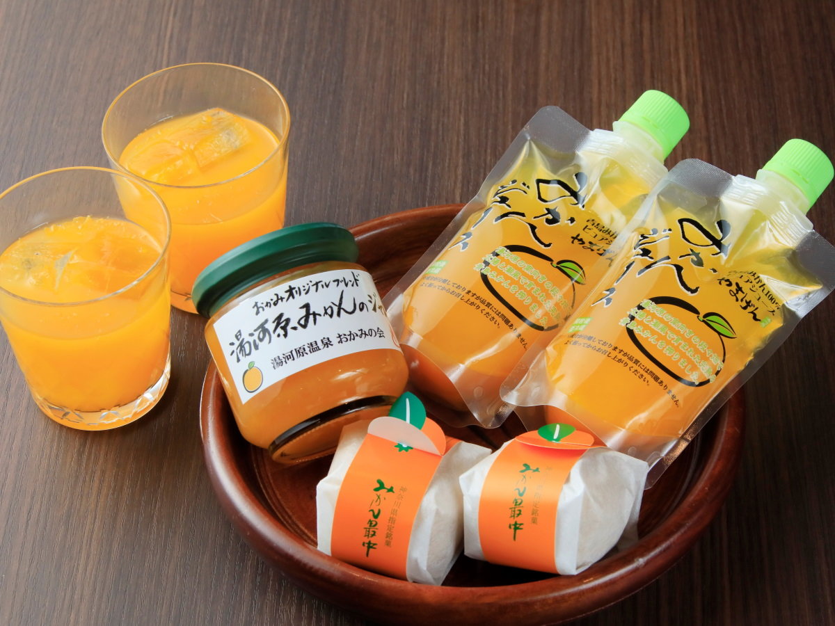 �v�������݂���Â����̓��T